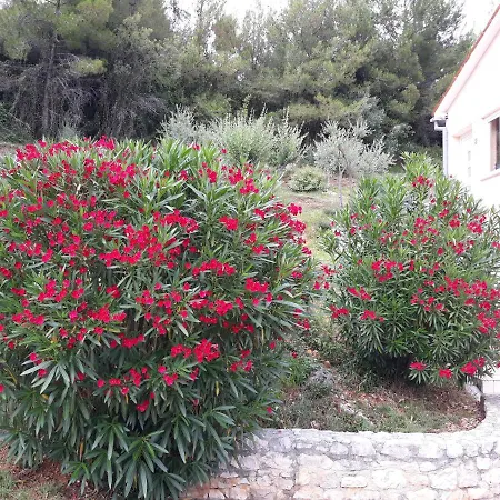 House Lucana - Sveta Marina 3*